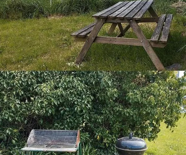 Maison En Pierres A 1200m De La